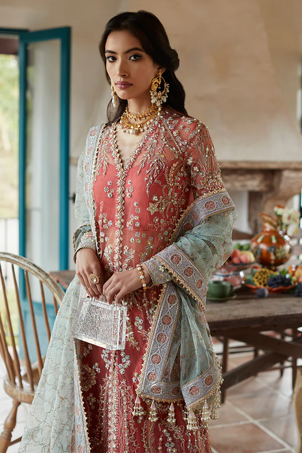 Amaani